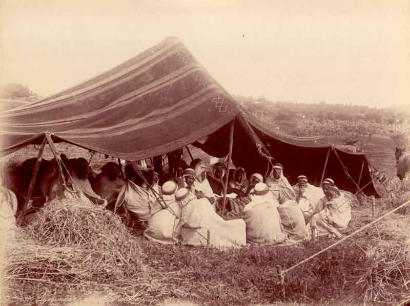 Pour les voyageurs de passage à Ouled Slimane (M’sila):  Une kheïma “citoyenne”pour servir le f’tour
