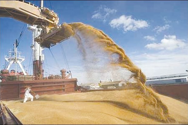 Algérie -  Elle a atteint 1,65 milliard de dollars sur les 5 premiers mois de 2015. Céréales: la facture des importations continue de monter