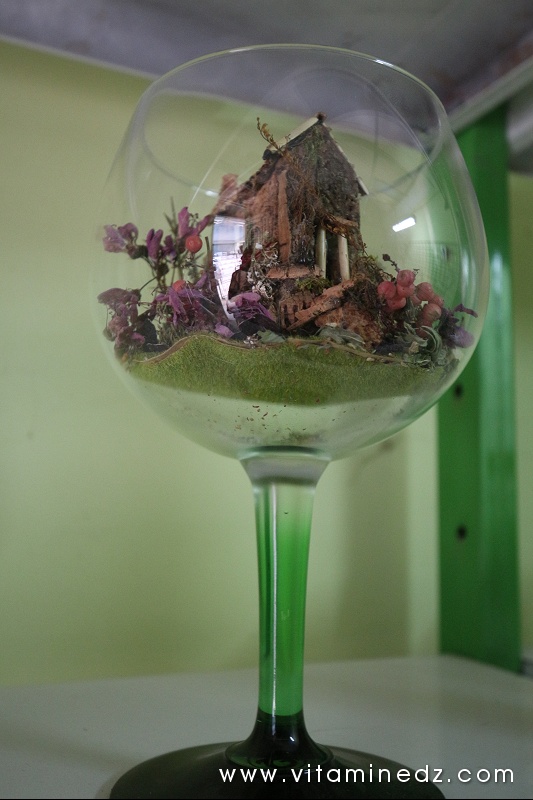 Tlemcen - Composition artistique à base de plantes oeuvre de Sid Ahmed l'Herboriste de Hartoun