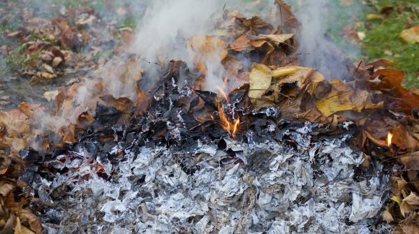 Constantine - Travaux d’extension de l’EHS de Sidi Mabrouk:  Des arbres brûlés dans l’enceinte de la maternité