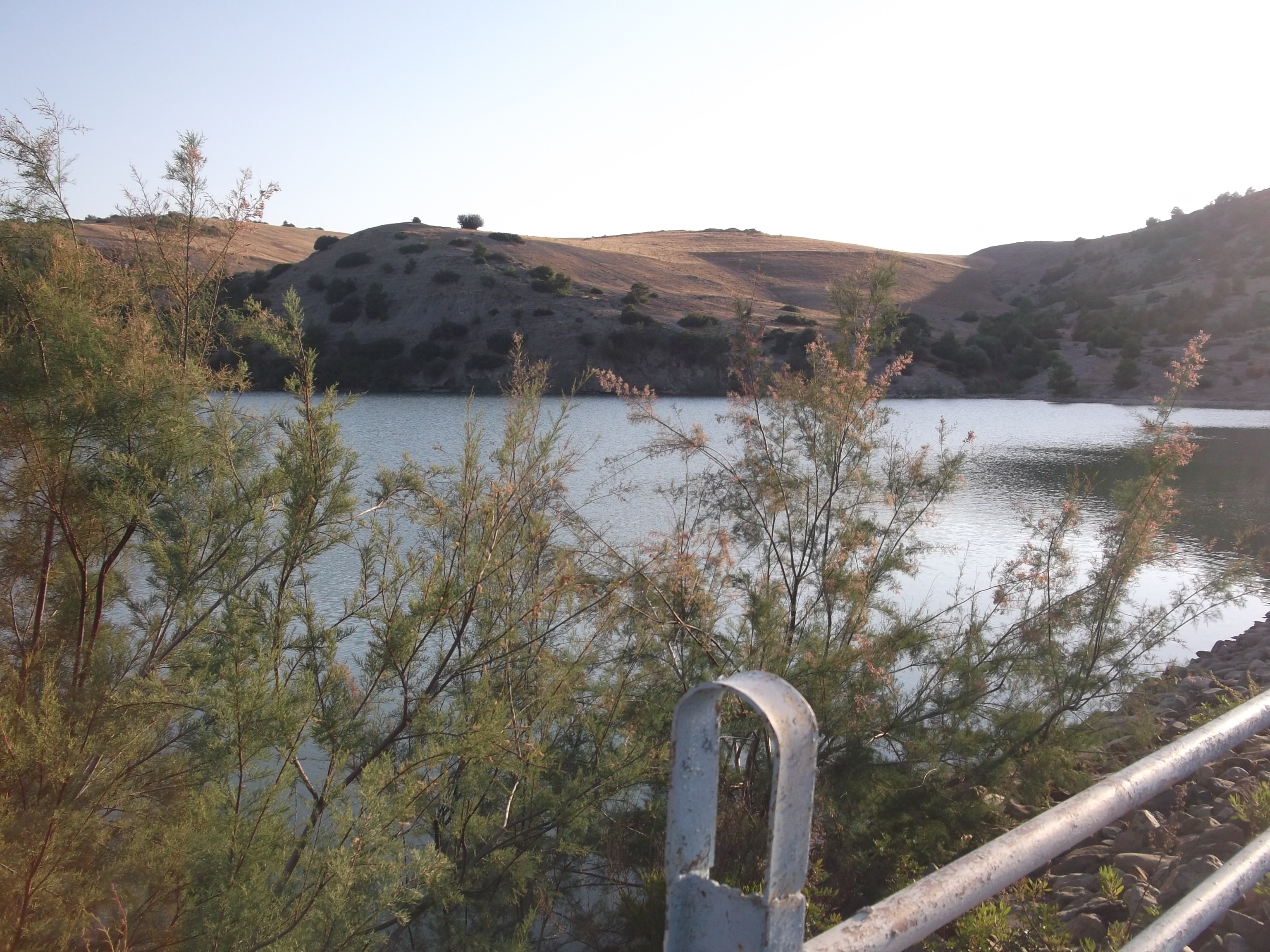 BARAGE TIBERKOUNINE DJEMAA OULED CHEIKH JUIN 2015