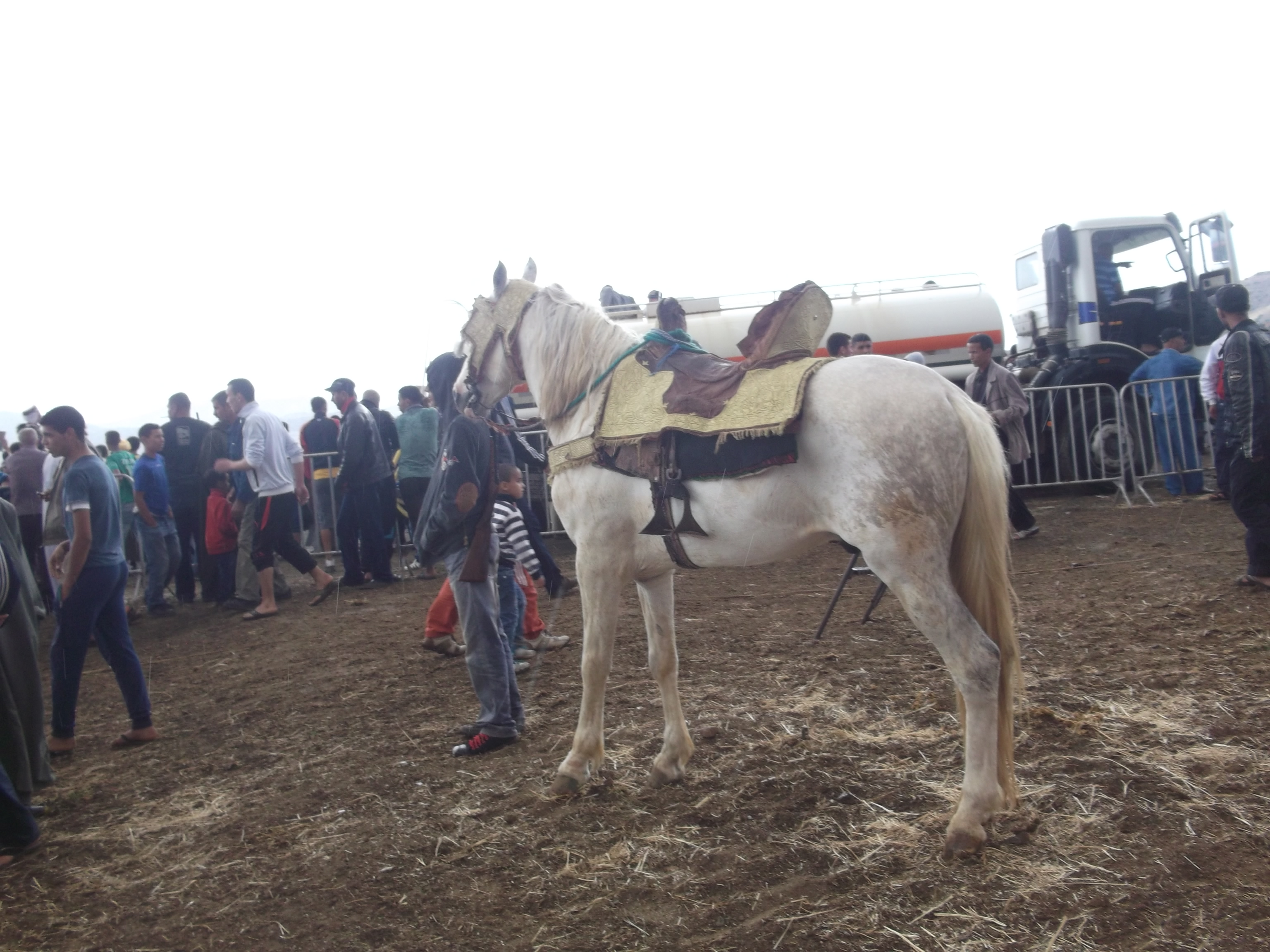 festival yassoul  FANTAZIA A djemaa ouled cheikh MAI 2015