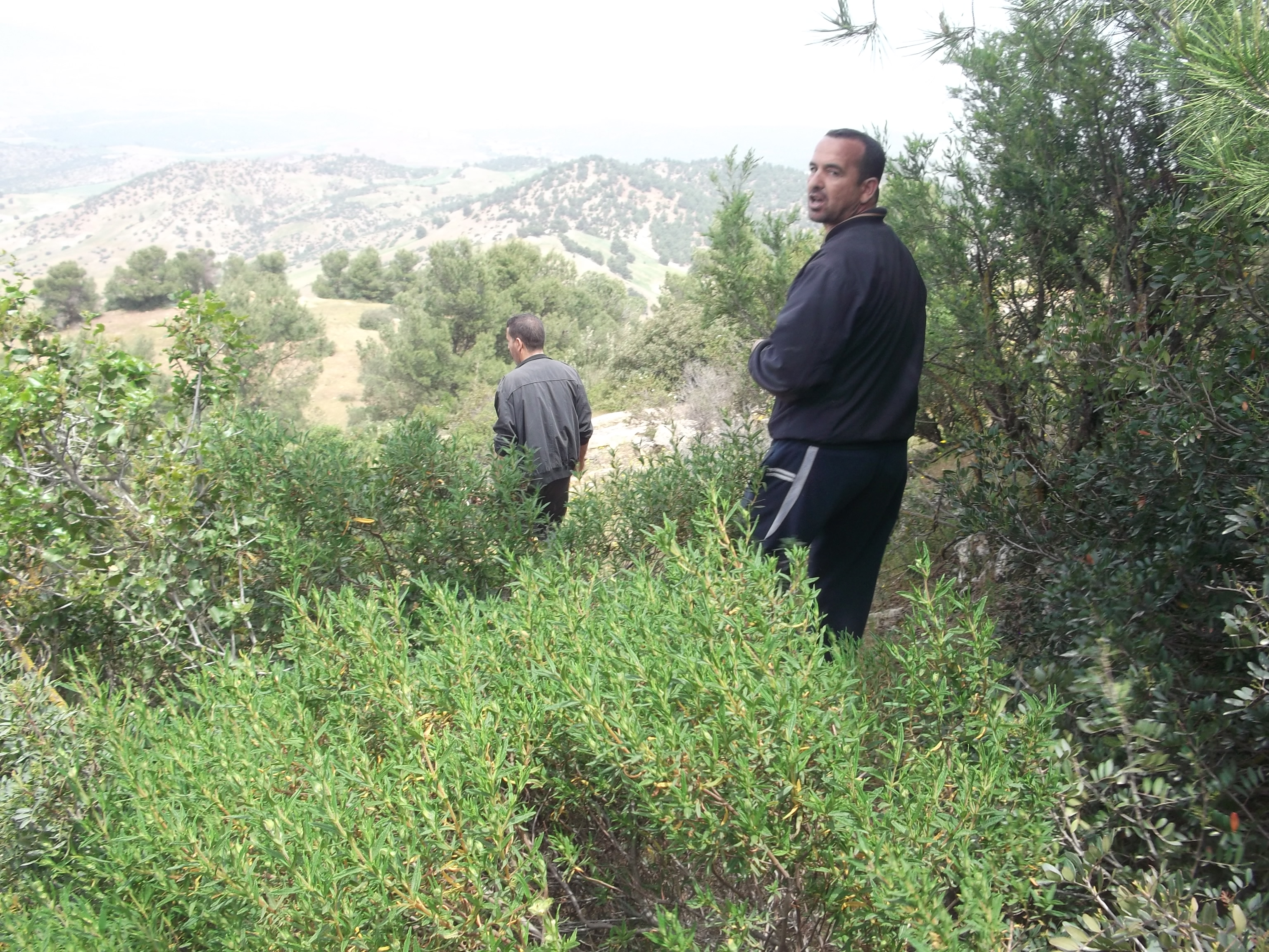 el hathmia djemaa ouled cheikh AVRIL 2015