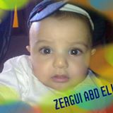 زرقي عبد الحي