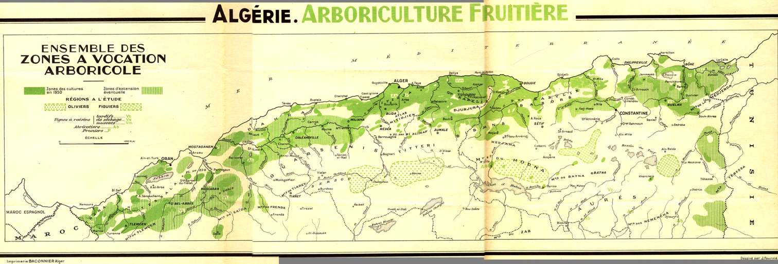 Hennaya (Tlemcen) -  L'arboriculture en attendant la transformation agroalimentaire