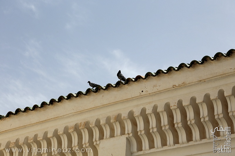 Tuiles vertes de la Grande mosquée de Tlemcen