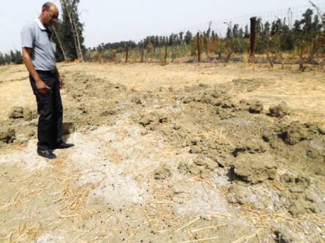 Chlef - Agriculture: Le sel tue à petit feu la vallée du Cheliff