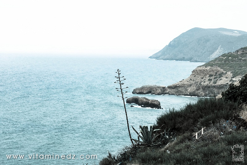 Beni Saf, les falaises de la cote est
