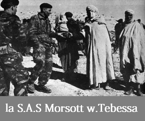 la sas morsott w-tebessa