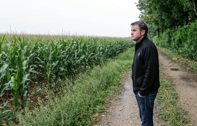 Planète - Monsanto: victoire du «pot de terre contre le pot de fer», se félicite Paul François