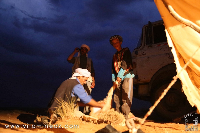 Vie de bédouins, dans la région de Sfissifa, Wilaya de Naama