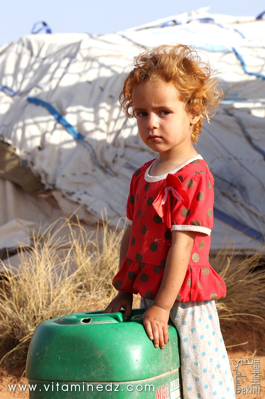 Petite bédouine, dans la région de Sfissifa, Wilaya de Naama