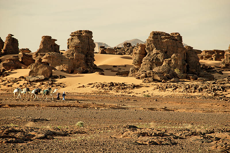Touaregs - Tassili N'Ajjer - Djanet