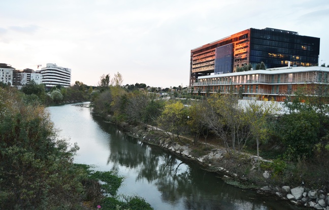 Planète - Montpellier: Un festival pour prendre conscience du changement climatique