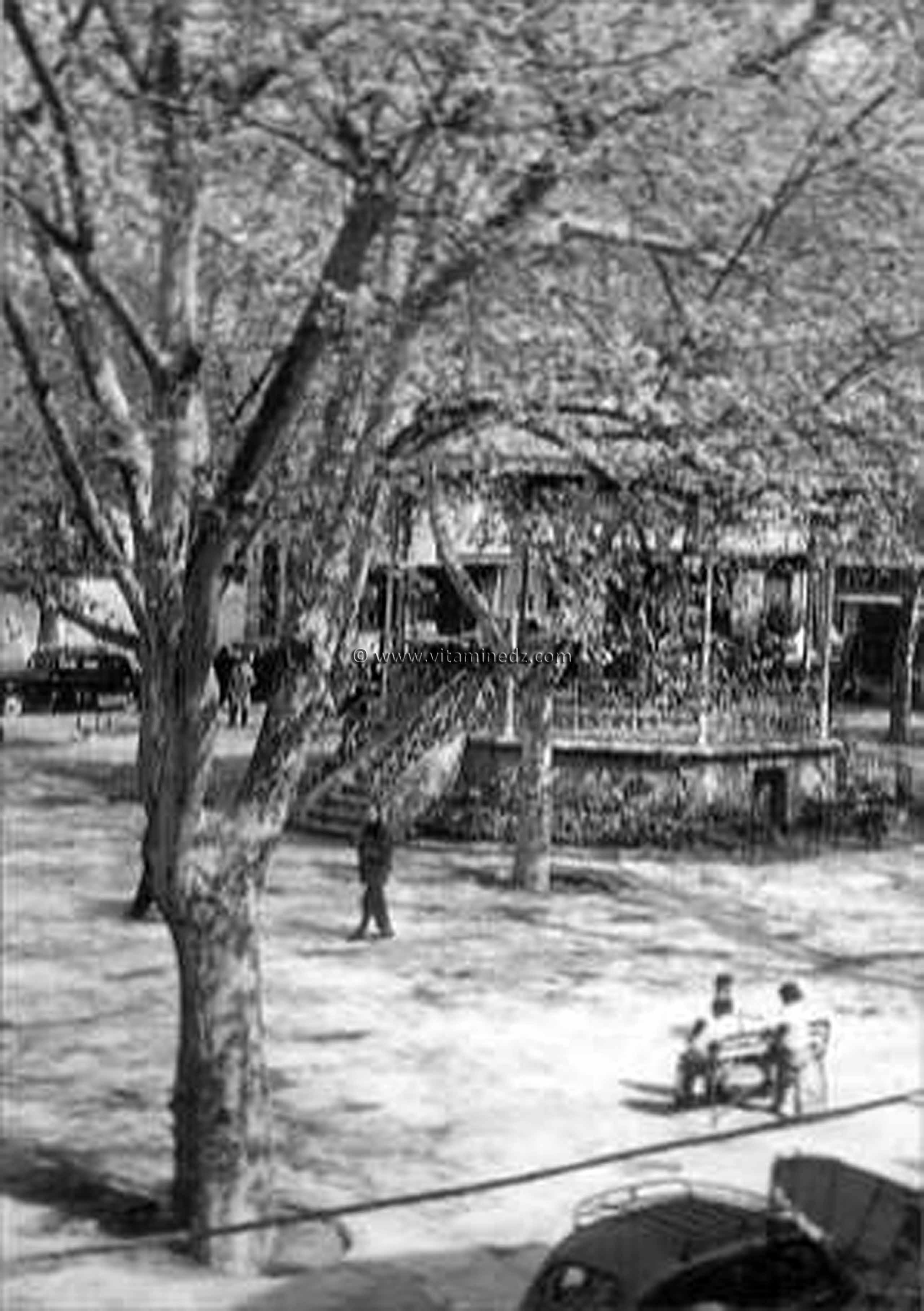Tlemcen Photo Ancienne - Le Kiosque de la place d'Alger