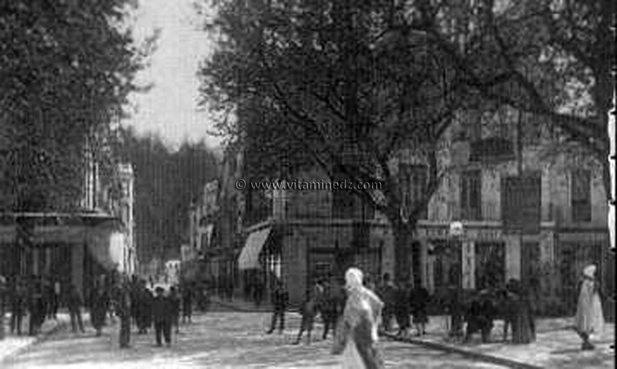 Tlemcen Photo Ancienne - Rue de France