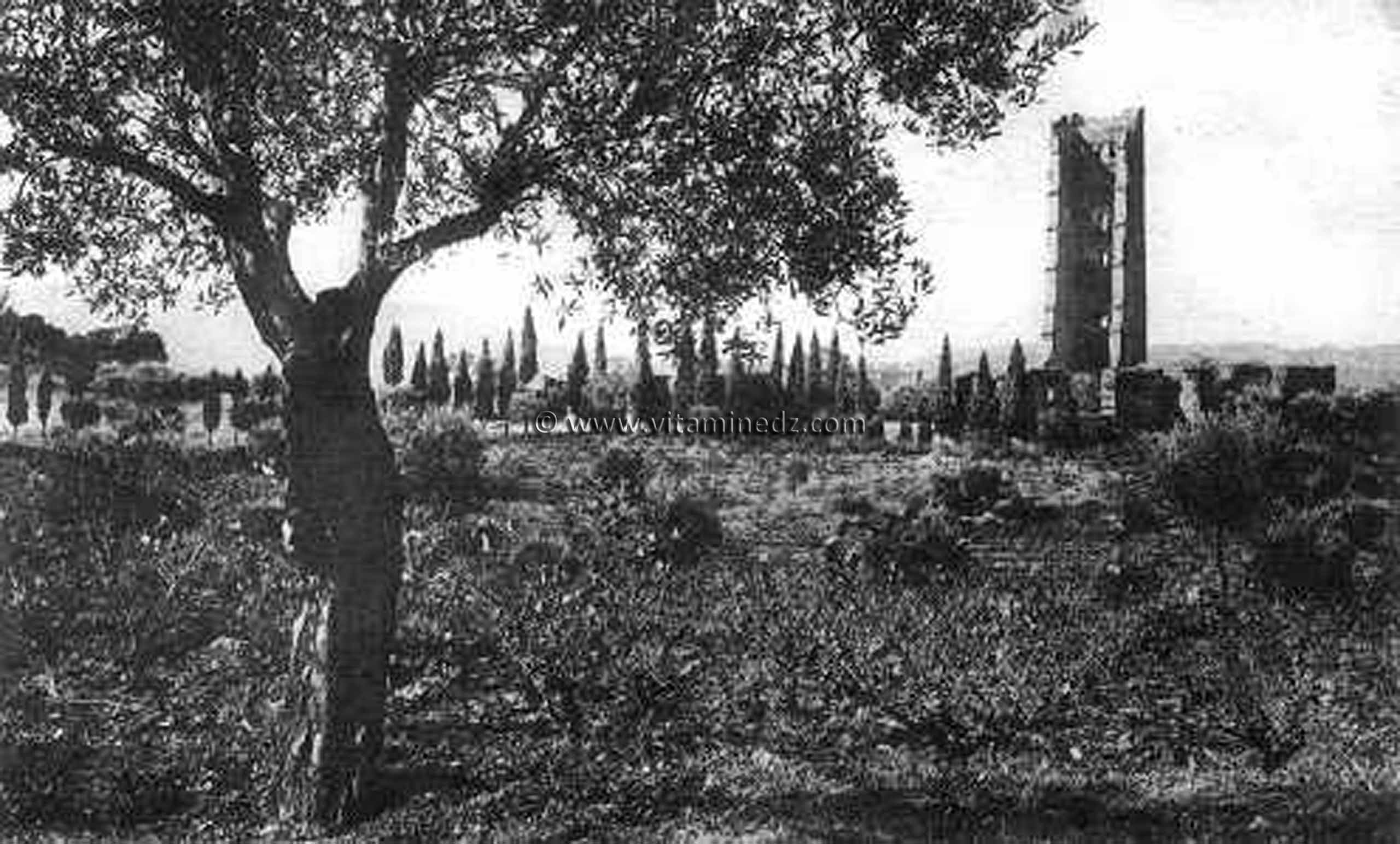 Tlemcen Photo Ancienne - Mansourah