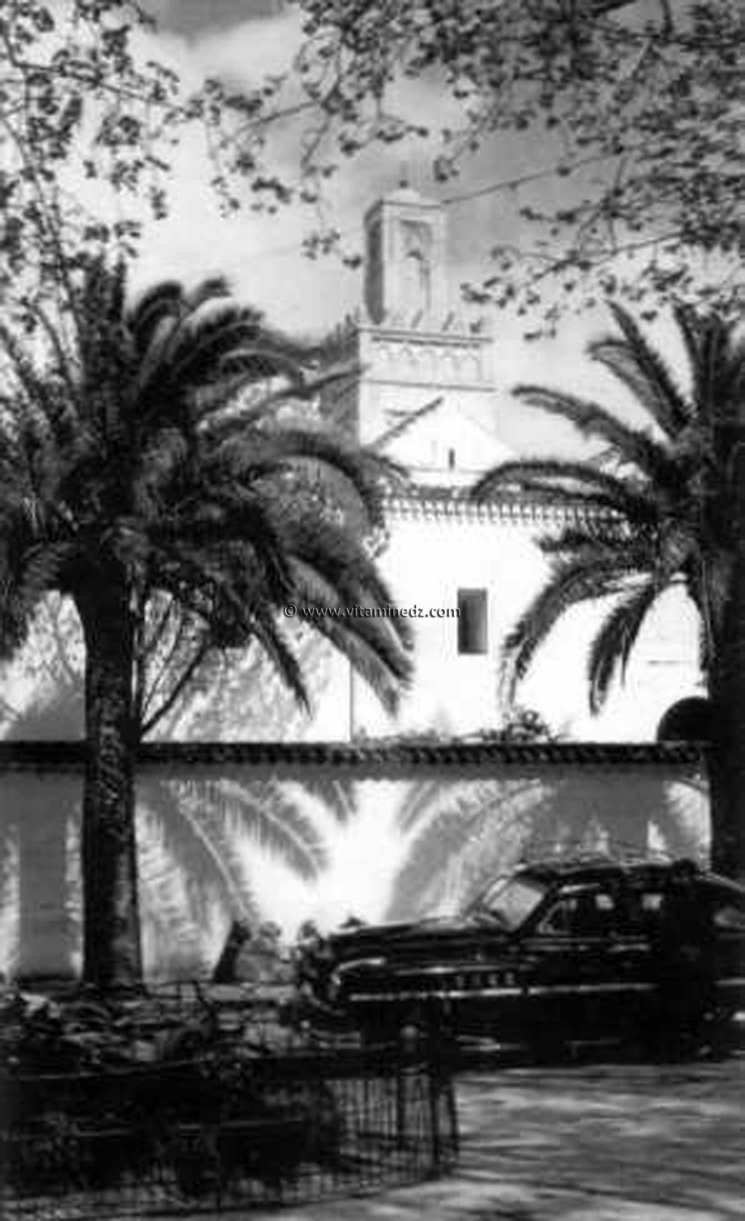 Tlemcen Photo Ancienne - Grande mosquée et taxis