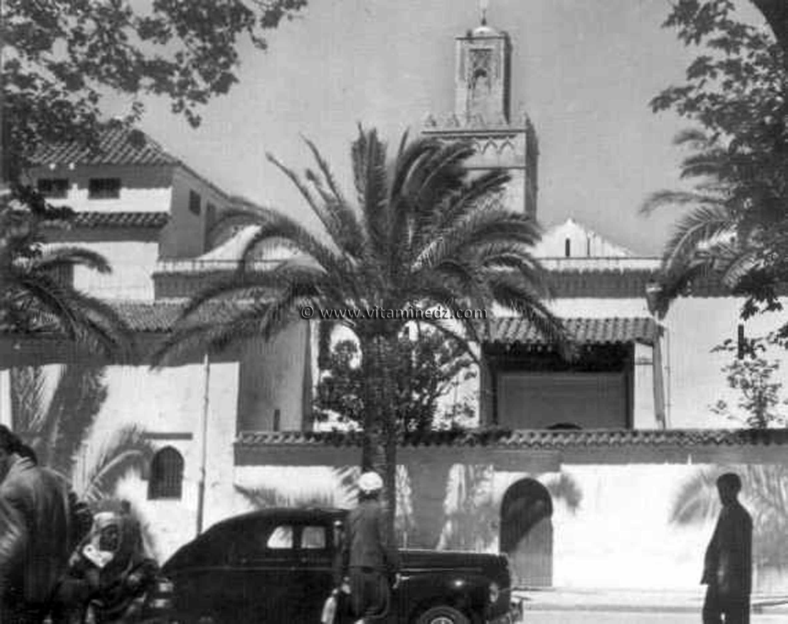 Tlemcen Photo Ancienne - Grande mosquée et taxis