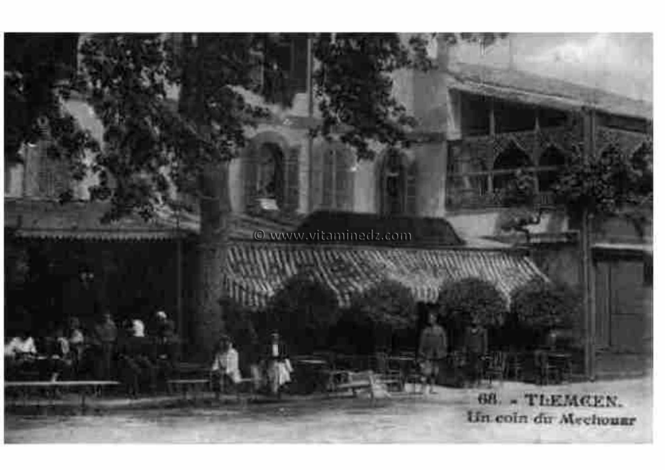 Tlemcen Photo Ancienne - Les cafés du Mechouar