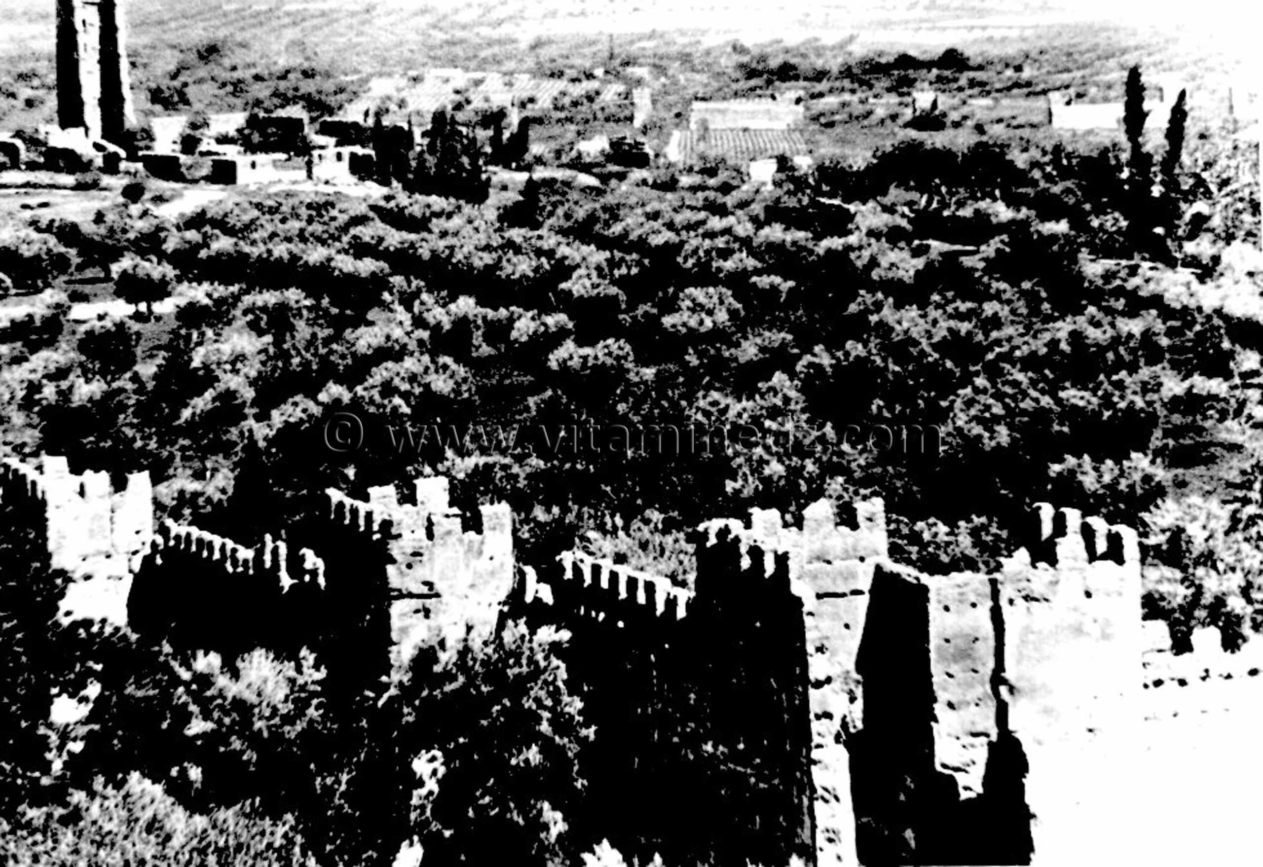 Tlemcen Photo Ancienne - Enceintes de mansourah