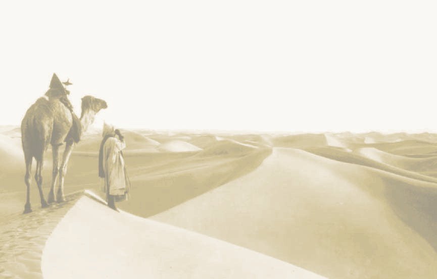 PHOTO ANCIENNE D'ALGERIE  Félix Jacques Antoine Moulin 1802 -1875