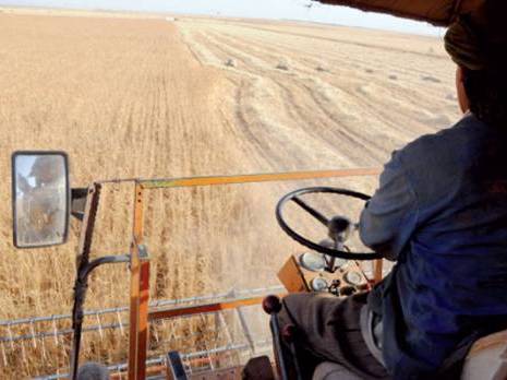 Algérie - Face à la crise: L’agriculture redevient une priorité