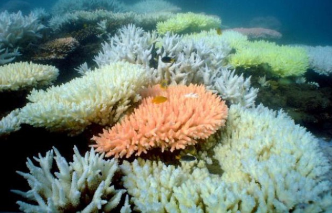 Planète -  Patrimoine mondial: Un tiers des sites naturels menacés par l'exploitation industrielle