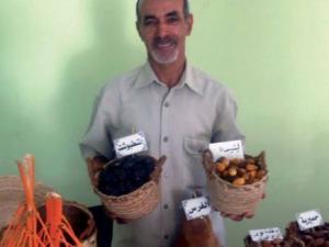 Phoeniciculture à Biskra - Création d’une entreprise de fractionnement de la datte