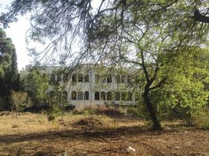 École d’Agronomie d’El Harrach (ENSA):  Cosider installe une base logistique dans un jardin botanique