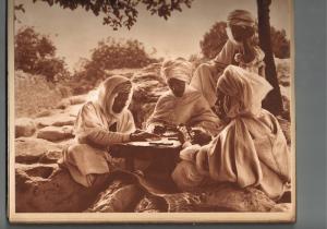 Algérie - Le Sahara Ses Oasis - 1934