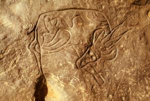 Tassili. Oued Dider, Algérie. Antilope profondément gravés, 0,47 mètres, avec des lignes polies et décoration. Extended jambe arrière touches trou dans la roche qui retient l\'eau après la pluie.