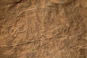 Oued Afar, Algérie. Les grandes hippopotame avec le contour poli tourné vers la gauche.