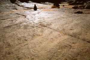 Oued Djerat, Algérie. Tête et cou de girafe énorme gravure de.