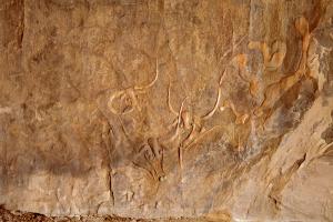 Oued Djaret, Algérie. Vue directe sur trois grandes gravures polies de bovins sauvages.