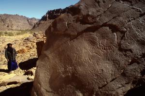 Oued Djaret, Algérie. Close-up de Bubalus et les hommes à tête de chien.