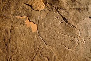 Oued Djaret, Algérie. Chef de l\'hippopotame gauche. Remarque deux yeux et la langue saillie.