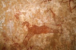 Oued Djerat, Algérie. Détail de char et conducteur de char tiré par deux chevaux.