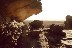 Algérie - Tassili, Gravures rupestres