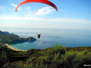 واد بقرات شاطئ