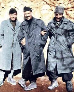 Les lions de Djujura