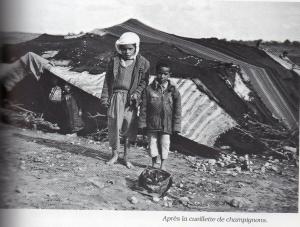 Après la cueillette de champignons
