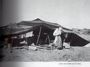 Le bébé sur le dos