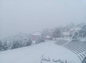 premières chute de neige,sur Chréa.