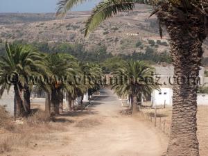 Entrée du Village de Siga (Oulhassa - Wilaya Ain Temouchent)