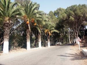 Entrée du Village de Siga (Oulhassa - Wilaya Ain Temouchent)