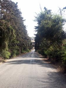 Route vers Village de Siga (Oulhassa - Wilaya Ain Temouchent)