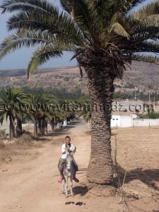 Enfant du Village de Siga (Oulhassa - Wilaya Ain Temouchent)