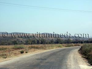 Siga (Oulhassa - Wilaya Ain Temouchent)