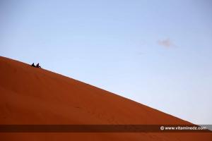 Taghit, Dune de sable d\'une extrême beauté
